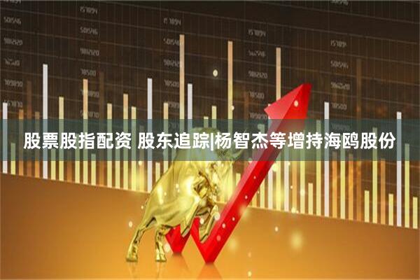 股票股指配资 股东追踪|杨智杰等增持海鸥股份