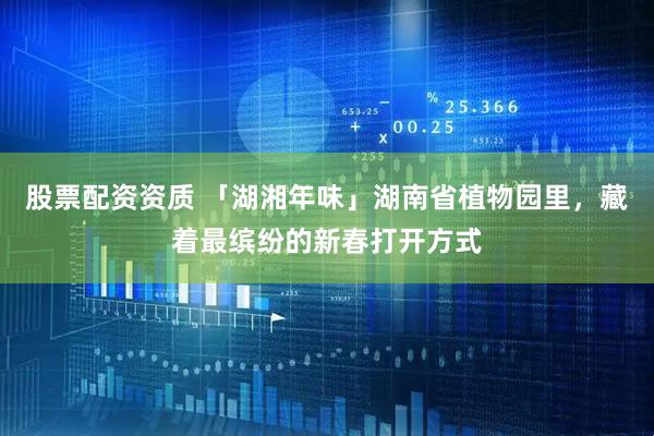 股票配资资质 「湖湘年味」湖南省植物园里，藏着最缤纷的新春打开方式