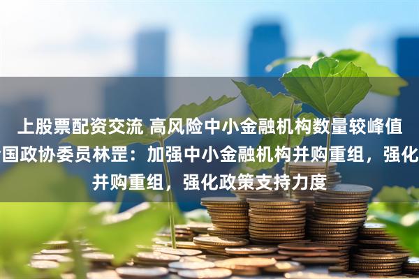 上股票配资交流 高风险中小金融机构数量较峰值下降一半！全国政协委员林罡：加强中小金融机构并购重组，强化政策支持力度