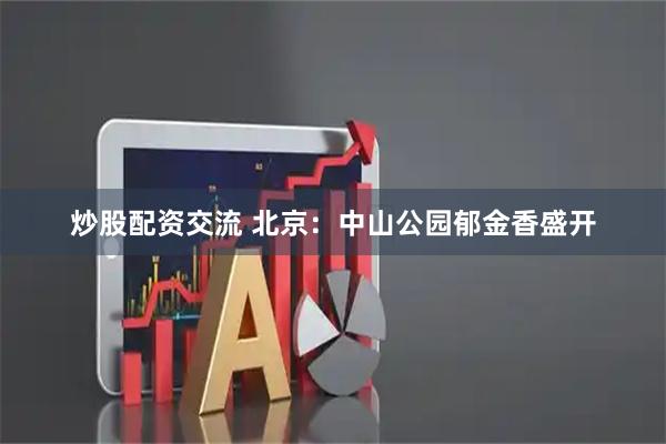 炒股配资交流 北京：中山公园郁金香盛开